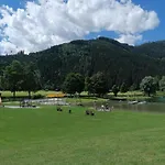 Pension Garni Burgwies Heilbad Ink Nationalpark Sommercard Gæstehus Stuhlfelden