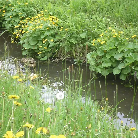 Penzion Heilbad Burgwies Stuhlfelden