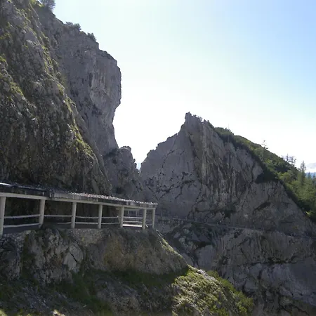 게스트하우스 Pension Garni Burgwies Ink Nationalpark Sommercard 3*