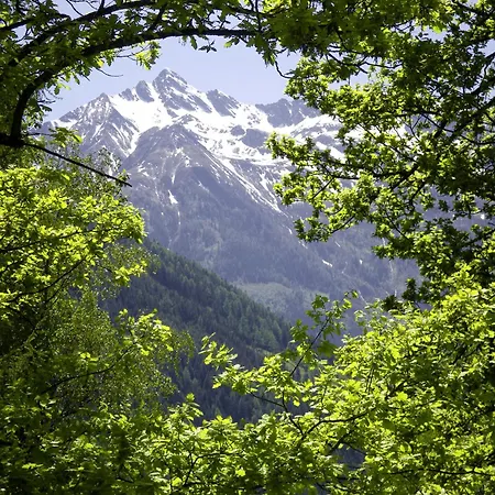 Garni Burgwies Ink Nationalpark Sommercard 3* Stuhlfelden