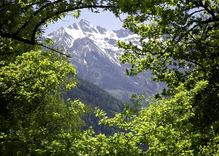 Pension Garni Burgwies Heilbad 3* Штульфельден