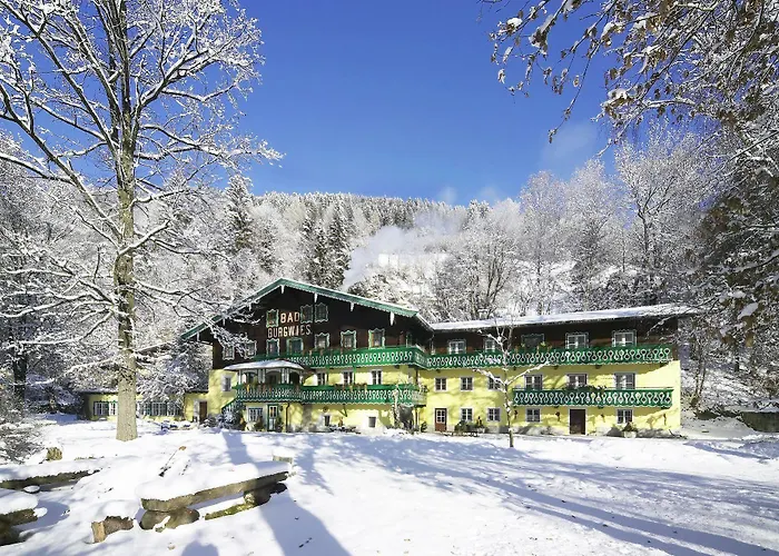 Pension Garni Burgwies Heilbad 3*