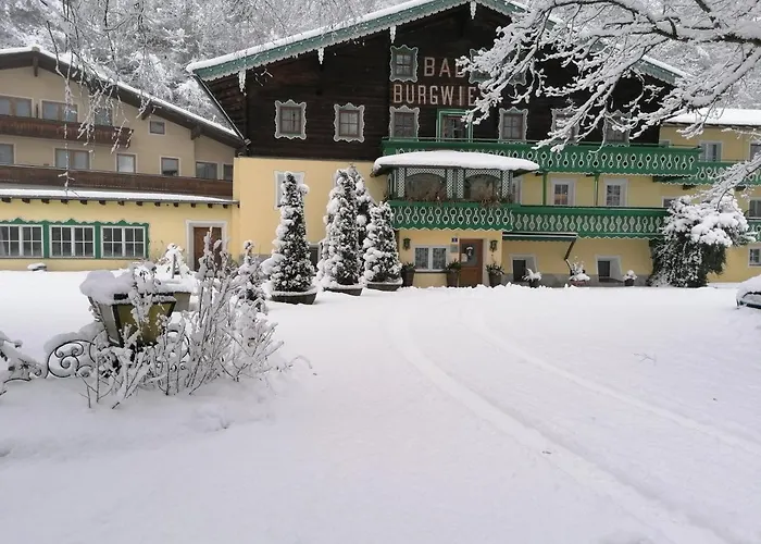 Πανσιόν Pension Garni Burgwies Heilbad 3*